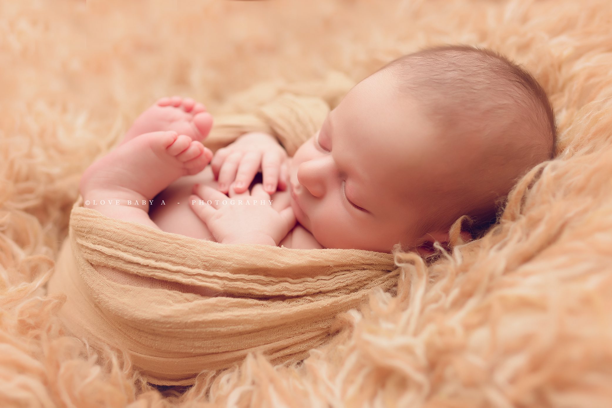 yonkers newborn photographer 12