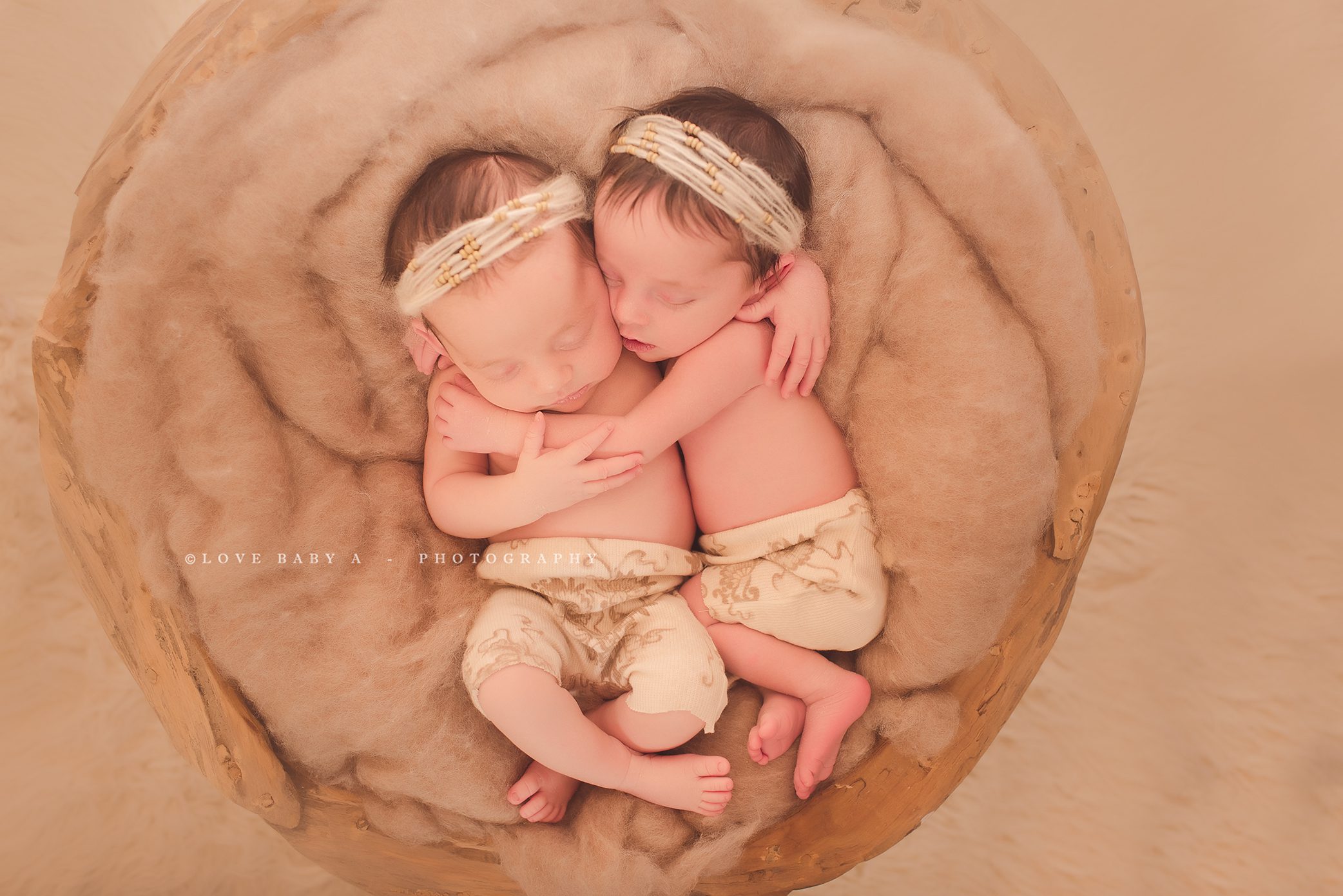 WESTCHESTER NEWBORN TWIN PHOTOGRAPHER 99