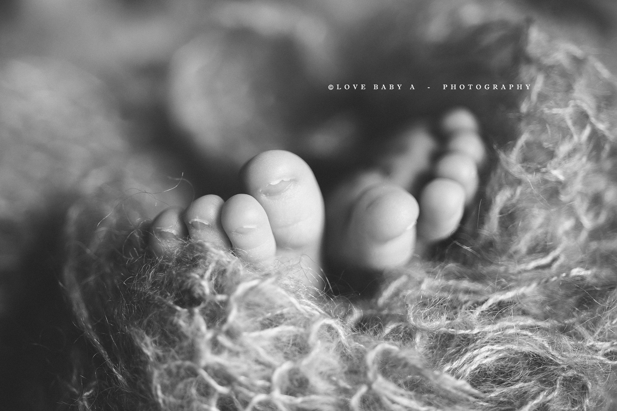 BEST NEWBORN PHOTOGRAPHER WESTCHESTER