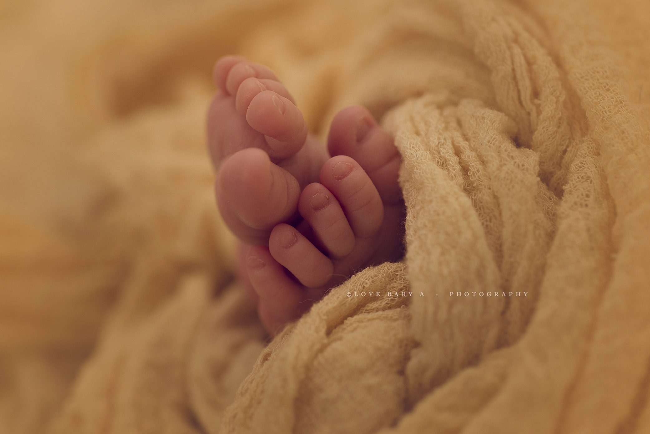 BEST bronx newborn photographer  copy